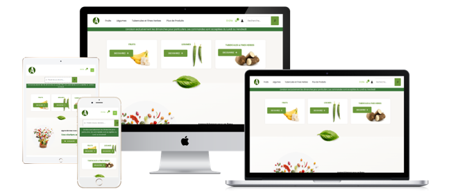 création ecommerce-abidjan